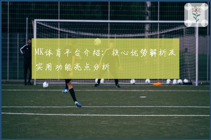 MK体育平台介绍：核心优势解析及实用功能亮点分析