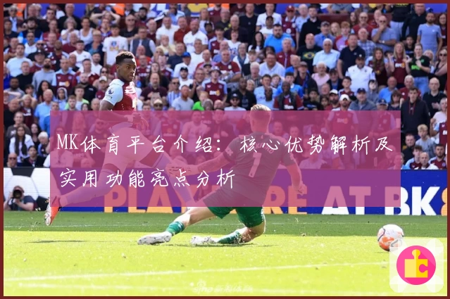 MK体育平台介绍：核心优势解析及实用功能亮点分析